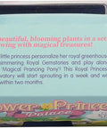 Flower Princess Palace Terrarium Starter Kit package with description and colorful design for mini garden DIY project for kids