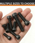 Hand holding multiple sizes of Top Shelf 5/16 X 1 Inch Socket Head Cap Screws 20 Pack Black Oxide 304 Stainless Steel Bolts.
