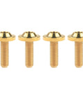 Beefy Titanium M5x15mm Torx Head Bolt Set Gold For Bicycle And Motorcycle Built Tough With Grade 5 6AL 4V Titanium Alloy