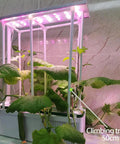Big Indoor Hydroponic Growing System Kit with Trellis Smart Garden LED Grow Light and Pump, cultivating cucumbers on counter.
