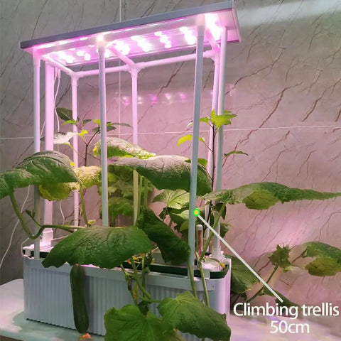Big Indoor Hydroponic Growing System Kit with Trellis Smart Garden LED Grow Light and Pump, cultivating cucumbers on counter.