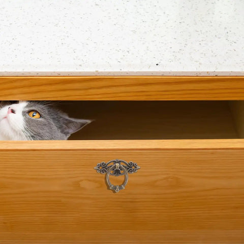 Wooden drawer with cat peeking out, featuring Six Piece Vintage Bronze Bail Drawer Pulls For Dresser Cabinet Jewelry Box And Furniture Antique Round Knob Hardware Retro Vibe Durable Zinc Alloy Construction Classic Decorative Pull Handles.