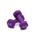 Hella Grippy Neoprene Hexagon Dumbbells Pair Of 3 Pound Hand Weights In Purple for exercise, showcasing hex shape and comfy grip.
