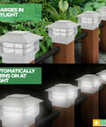Two Tier Solar Post Cap Lights For Outdoor Posts Fits 4x4 Wood 4x4 And 5x5 PVC Vinyl Fence Posts Waterproof White Lit LED Deck Garden Landscaping 4 Pack in day and night view