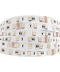Coiled 24V RGB CCT 5 In 1 LED Strip Lights With Tunable White Ultra Bright 300 LEDs 16.4ft Roll Non Waterproof 5050 RGBWW Tape