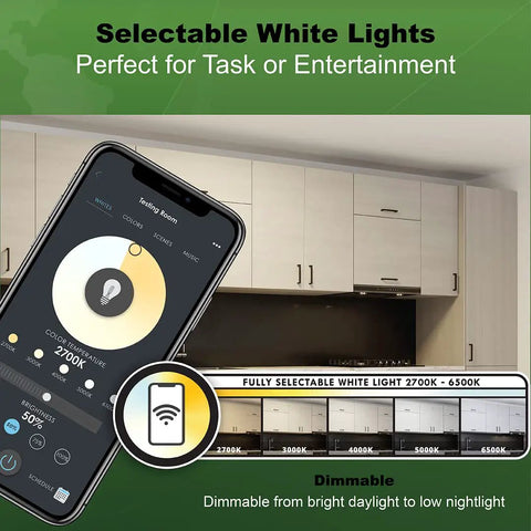 24 Inch Smart LED Flat Panel Ceiling Light Direct Wire In Brushed Nickel, 4000 Lumens, Wi Fi Ready, Bluetooth Capable interface displayed.