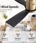 6 wind speed feature of 52 Inch Black Ceiling Fan With Lights And Remote, Whisper Quiet 6 Speed DC Motor for indoor outdoor use.