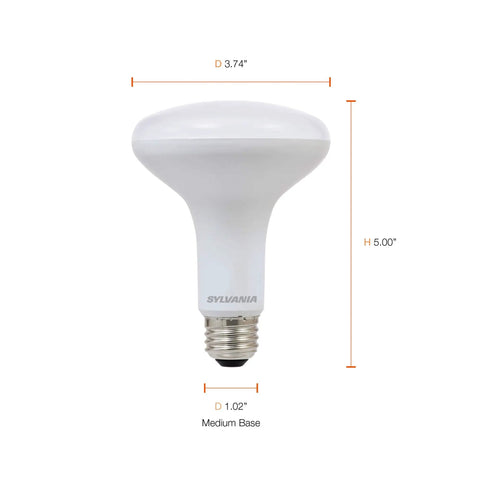 Pro Grade Led Flood Br30 Light Bulbs Drop Clean Soft White Glow With 650 Lumens At Just 9 Watts Swapping Old 65 Watt Fixtures These Go Smooth Dimmable Lights Promise A No Sweat 10 Year Stretch And Real Bang For Buck In Each Snappy 2 Pack