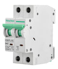 DC Miniature Circuit Breaker 2-Pole 40 Amp Non-Polarized Type B 12V-110V DC MCB with 6kA Breaking Capacity for Solar, RV, Marine
