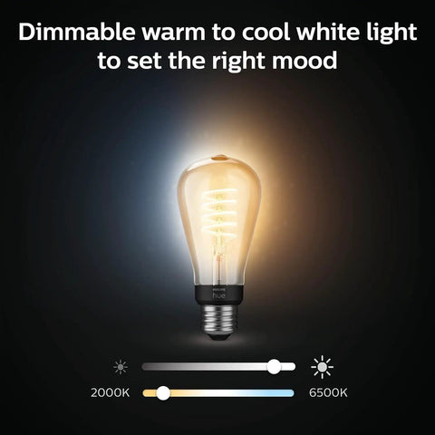 Smart Filament LED Bulbs 40W Equivalent ST19 Warm To Cool White Ambiance 2 Pack 550 Lumens E26 Base Indoor Use Control With App Works With Alexa Google Assistant Apple HomeKit
