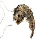 Real Quail Wing On String Cat Toy For Interactive Play And Training With Bird Scent Great For Cats And Dogs Organic Quail Wing Design