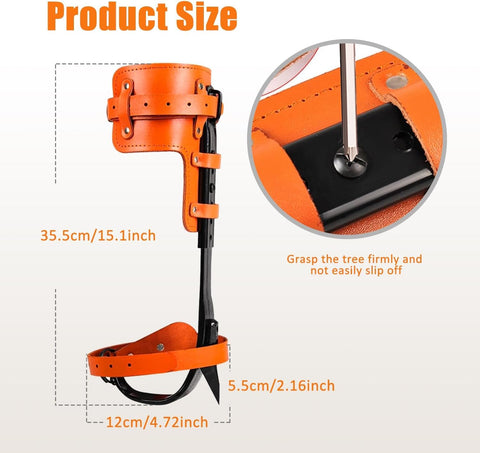 Pro Grade Tree Climbing Spikes Set With Alloy Steel Spurs And Adjustable Cowhide Leather Straps, Product Size Details