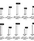 Badass 304 Stainless Steel Phillips Truss Self Drilling Sheet Metal Tek Screws Assortment Kit 200 pieces various sizes