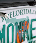 Close-up of a 45 caliber license plate screw featuring a bullet fastener on a car's registration plate.