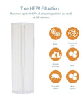 Replacement Filter Pack For Therapure TPP220M And TPP220H Air Purifiers, Pro-Grade H13 True HEPA Filtration catching particles