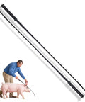 Two Pack Black Pig Show Whip With Chrome Tip 36 Inch Leather Handle Riding Crop For Training And Showing, pig and handler