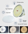 Softbox Lighting Kit For Studio Portraits And Product Shots, LED bulb with E27 socket, energy-saving features highlighted
