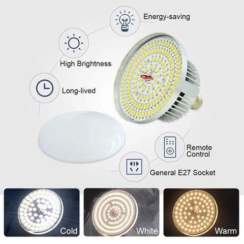 Softbox Lighting Kit For Studio Portraits And Product Shots, LED bulb with E27 socket, energy-saving features highlighted
