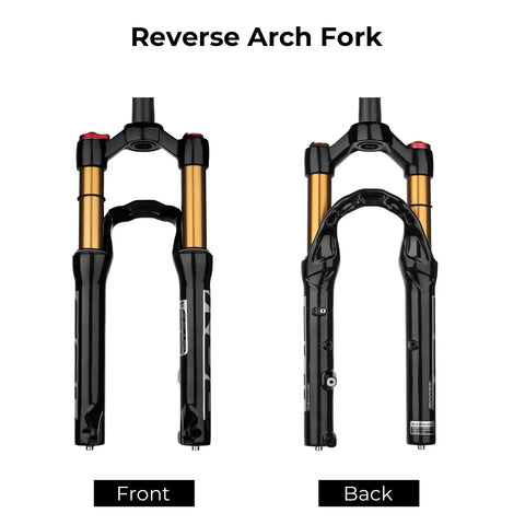 Beefy 20 Or 24 Inch Mountain Bike Suspension Air Fork With 28.6mm Steerer, 220mm Length, front and back view