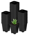 60 Pcs Square Nursery Pots 3 Inch Deep Plastic Seed Starter Germination Pots For Plants Succulents And Flowers Stackable Durable Seedling Kit