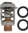 Thermostat And Seals Kit For Johnson Evinrude Outboard Motors Replacement 5 To 235 HP, 60C/143F Thermostat, Stainless Steel Seals