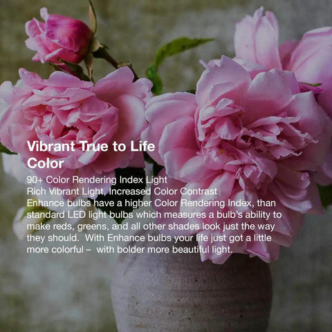 Close-up of pink flowers in a vase with text about bulb color rendering, enhancing life color with LED Light Bulb A19 60W Equivalent 5000K Daylight Dimmable 800 Lumens Energy Saving Omnidirectional Bright Home Office Living Room Replacement for Incandescent.