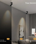 LED Dimmable Ceiling Spotlight For Indoor Accent Lighting in living room, adjustable spotlight with TRIAC dimming, black finish.