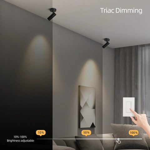 LED Dimmable Ceiling Spotlight For Indoor Accent Lighting in living room, adjustable spotlight with TRIAC dimming, black finish.