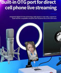 P10 USB Audio Interface For Live Streaming And Podcasting with microphone and ring light setup