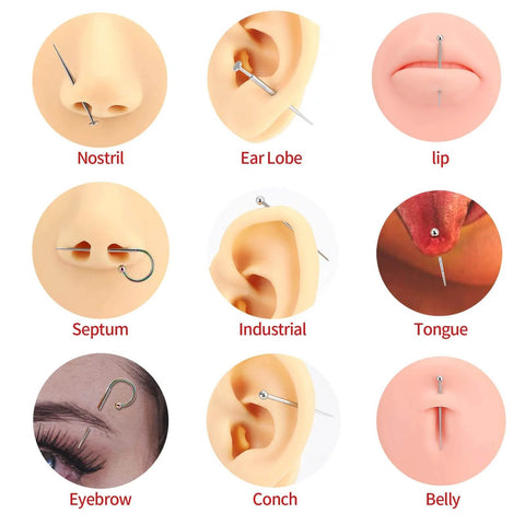 Various piercings including nostril, ear lobe, lip, septum, industrial, tongue, eyebrow, conch, belly with stainless steel jewelry
