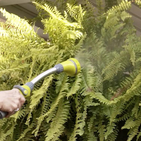 15 Inch Watering Wand with 8 Spray Patterns and Thumb Control used for reaching hanging baskets with ferns