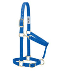 1 Inch Adjustable Nylon Horse Halter With Blue Webbing, Sewn In Throat Snap, Brass Hardware, Heat Sealed Oblong Buckle Holes
