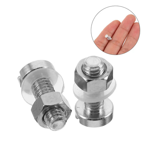 Pair M Two Point Five By Zero Point Four Five By Seven Pro Grade Miniature Screws for turntable repair, silver color, close-up view.