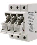 3 Pole Cylindrical Fuse Holder With LED Indicator For 10 X 38 mm Fuses, 32 Amp 690 VAC, 35mm DIN Rail Mount, front view