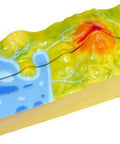 Volcano Model For Classroom Geology And Geography Teaching Aids Lava Eruption Demonstration, dual-structure PVC teaching prop