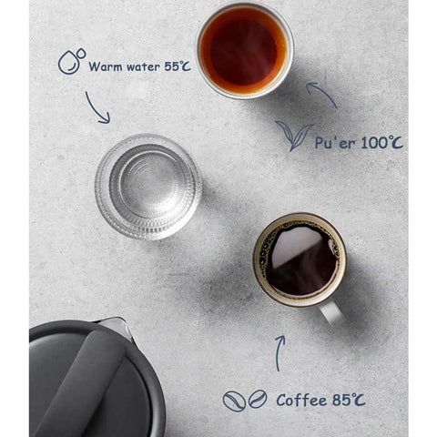 Premium 800Ml Electric Tea Maker Featuring Auto Water Pump And Secure Magnetic Lid, Smart Digital Temperature Kettle Set With Built In Strainer for brewing tea and coffee at different temperatures.
