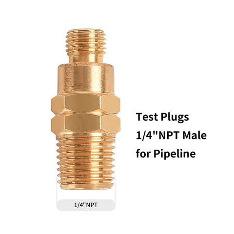 Brass Gauge Adapter With One Quarter BSP Female Fitting And Stainless Steel Probe Two And Half Inch Overall Length visible