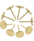 Top Shelf Gold Flat Head Thumb Tacks 100 Pack Kickin Push Pins For Bulletin Boards, showing small metal pins arranged in a circle.