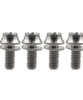 Set of 4 Titanium M5x12mm Bottle Cage Bolts With Washers, Grade 5 6Al-4V Bike Water Bottle Holder Hardware, Hex Head