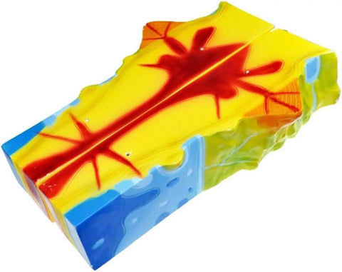 Volcano Model For Classroom Geology And Geography Teaching Aids Lava Eruption Demonstration shown with dual structure anatomy