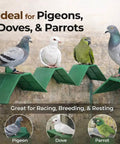 10-Piece Plastic Dove Rest Stands With Anti-Skid And Heat-Resistant Design, Green Pigeon Perch showing pigeons, doves, parrots