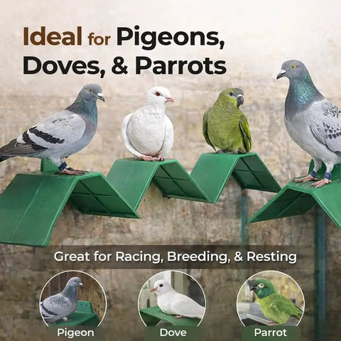10-Piece Plastic Dove Rest Stands With Anti-Skid And Heat-Resistant Design, Green Pigeon Perch showing pigeons, doves, parrots