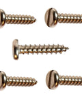 Slotted Pan Head Sheet Metal Tapping Screws Kit Stainless Steel Size 10 By 1 And A Quarter Inch Pack Of 2500 Pro Grade Heavy Duty Fasteners