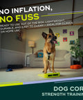 Inflation Free Balance Ramp For Dogs Easy Beginner Obedience And Balance Training Non Slippery Surface indoors with dog standing