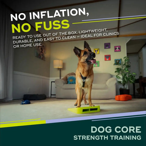 Inflation Free Balance Ramp For Dogs Easy Beginner Obedience And Balance Training Non Slippery Surface indoors with dog standing