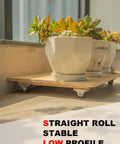 1 Inch Rigid Caster Wheels 4 Pack Non Swivel Single Direction Low Profile Silent TPE Rubber under potted plants on wooden tray.