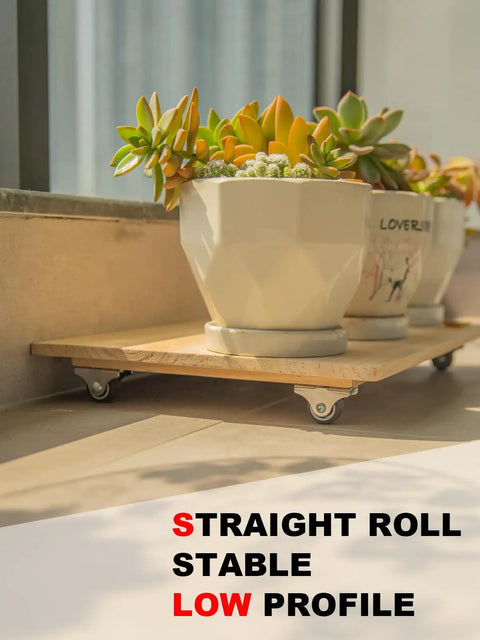 1 Inch Rigid Caster Wheels 4 Pack Non Swivel Single Direction Low Profile Silent TPE Rubber under potted plants on wooden tray.