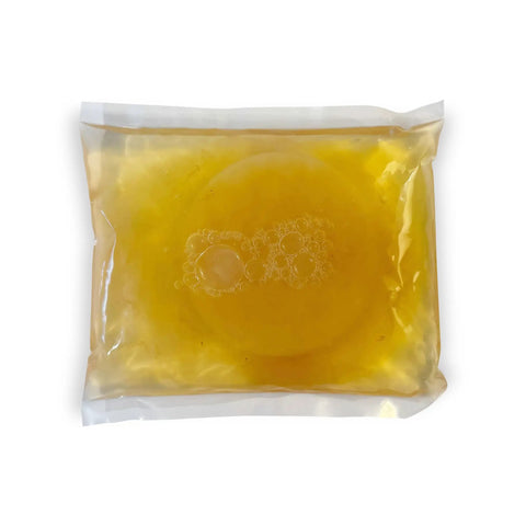 100 Percent Organic SCOBY Kombucha Starter Kit For Home Brew Sessions With Live Culture And Starter Liquid Ready To Brew