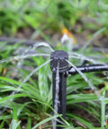 Adjustable Irrigation Drippers 360 Degree Water Flow Drip Emitters For 4 7mm Tube PE Pipe Ideal For Flower Beds Vegetable Gardens And Herb Gardens 50 Pieces Durable Plastic Irrigation System No Fuss Setup spraying water in a garden