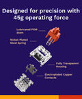Exploded view of Fox Linear Mechanical Switches for Gaming and Typing, 110 Pack, 3 Pin, transparent housing with colored stem.